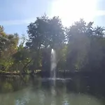 Tündér Róza Miskolc