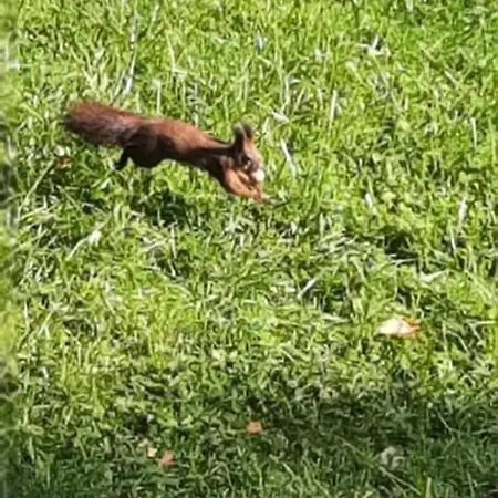 Apartmán Tuender Roza Miškovec