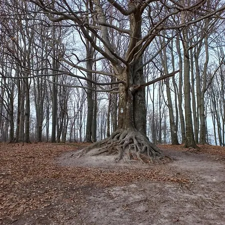 Tuender Roza * Miškovec
