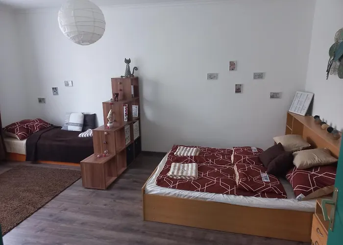 Tuender Roza Мишкольц