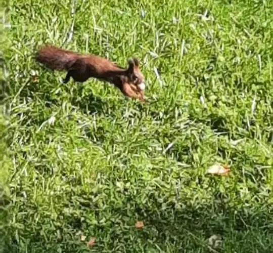 Апартаменты Tuender Roza Мишкольц