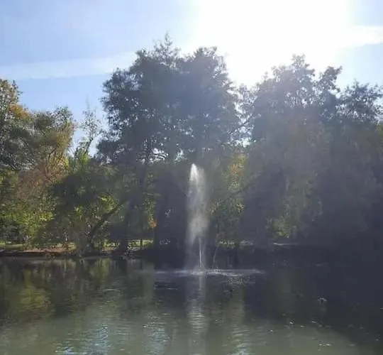 Tuender Roza Мишкольц