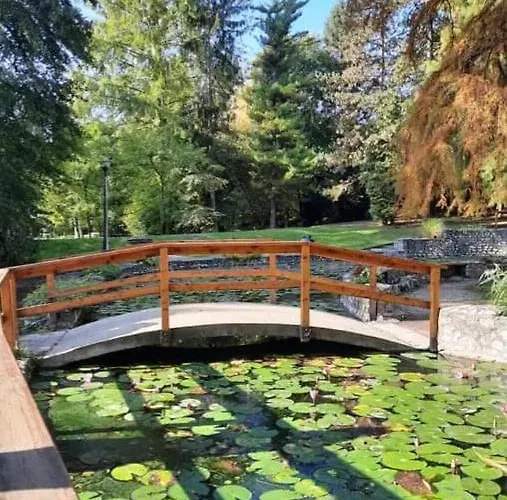 Tuender Roza Мишкольц