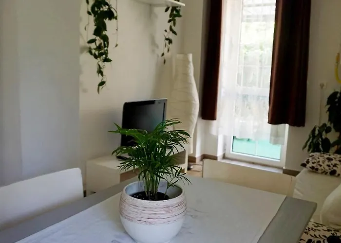 Tuender Roza * Мишкольц